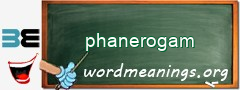 WordMeaning blackboard for phanerogam